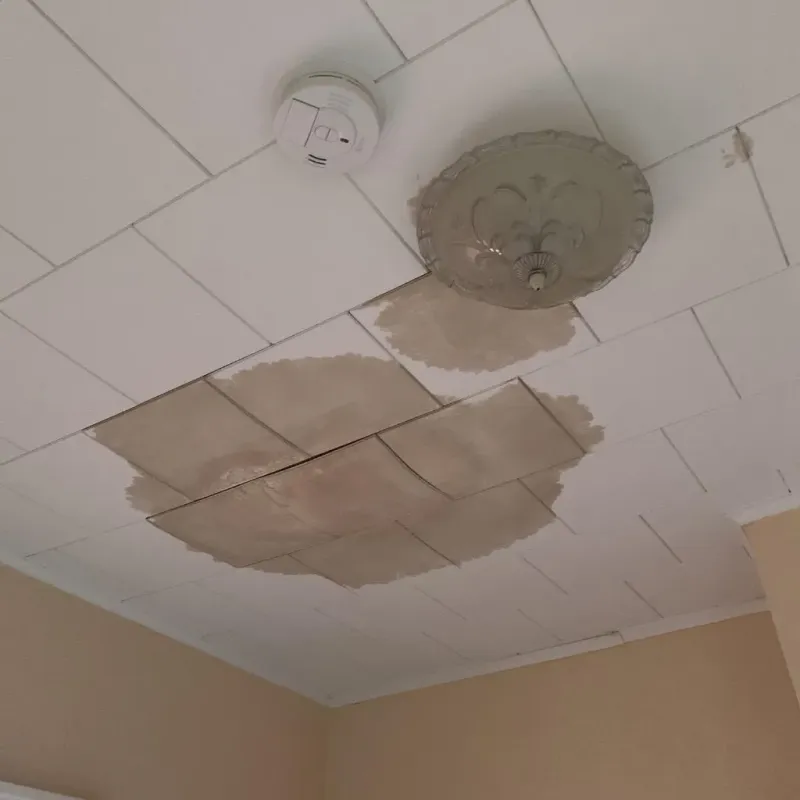 Ceiling Water Damage Repair in Muskogee, OK