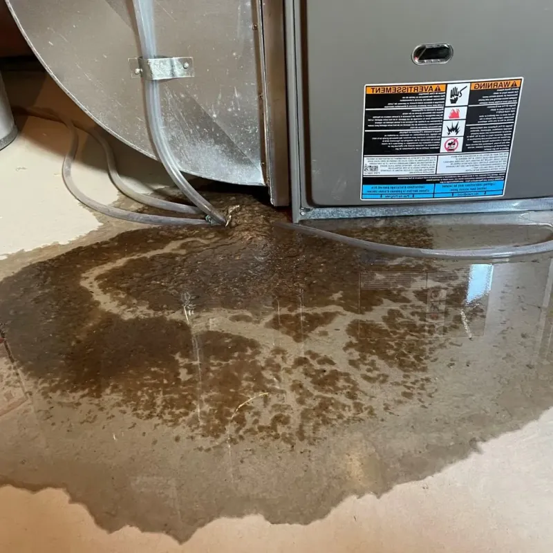 Pipe Burst and Leak Restoration in Muskogee, OK
